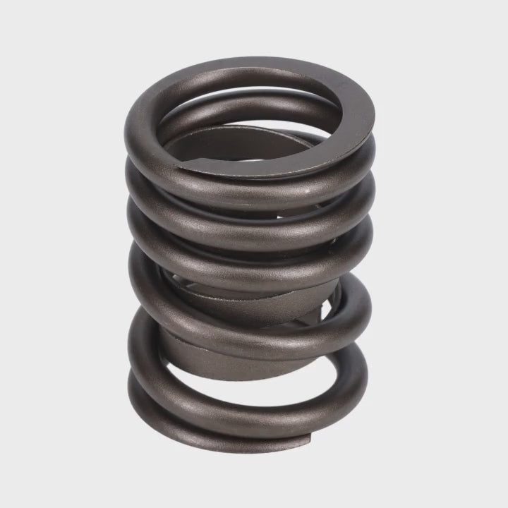 Valve Spring