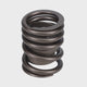 Valve Spring