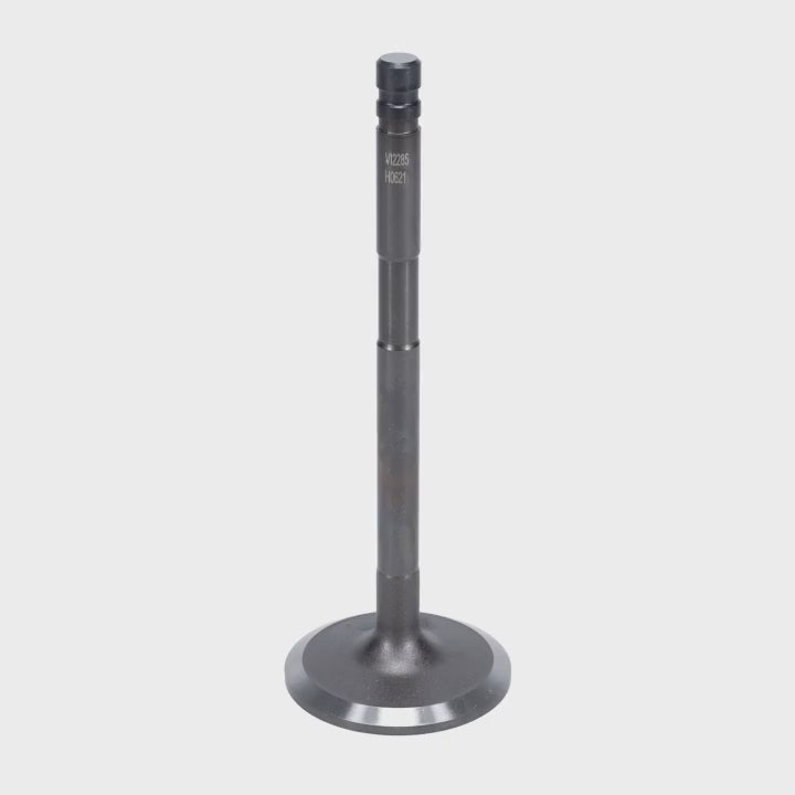 Intake Valve