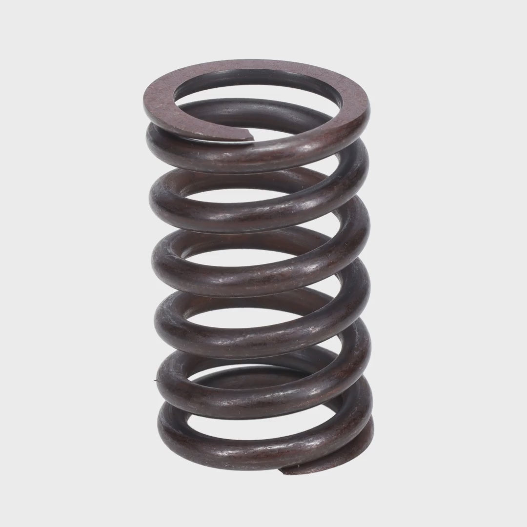 Valve Spring