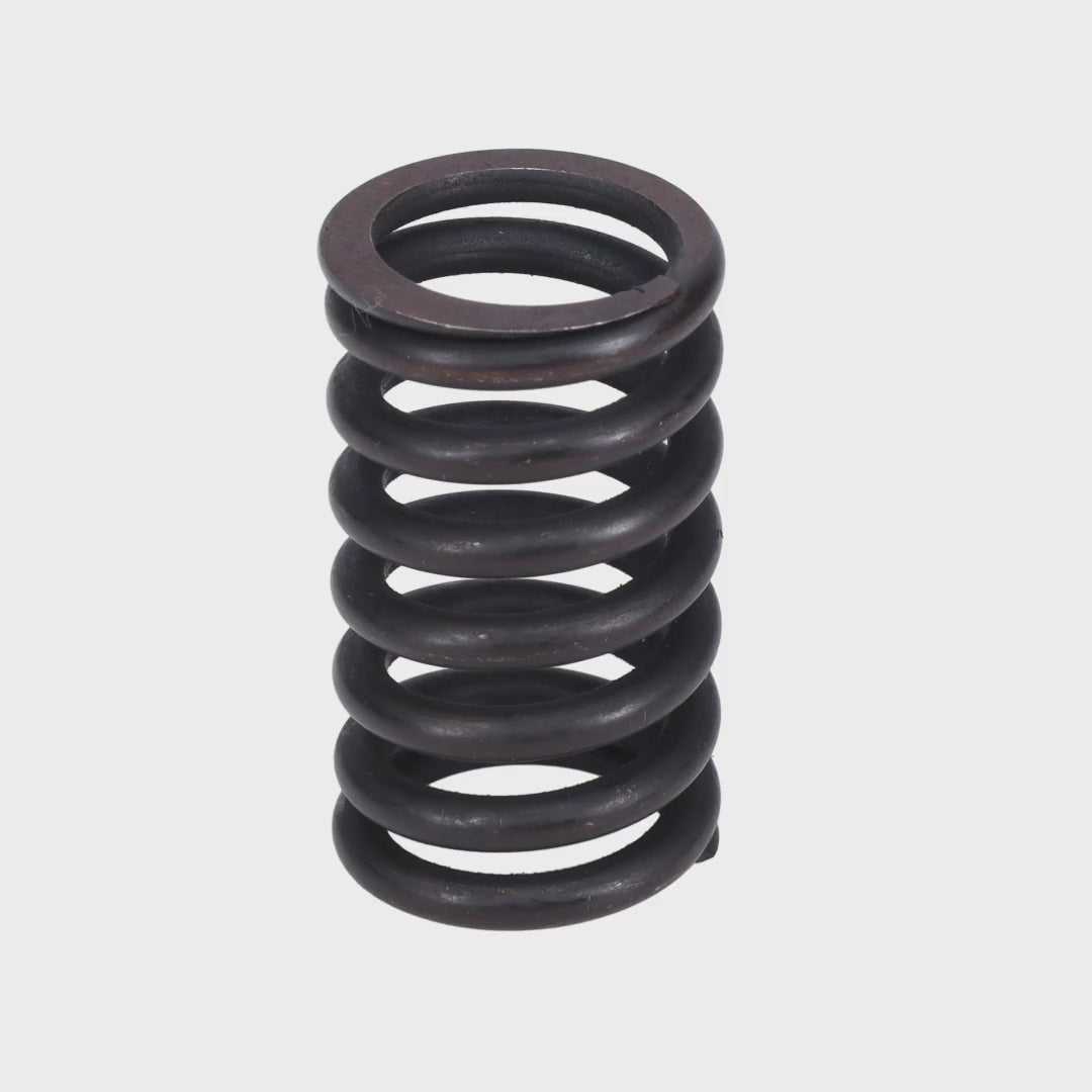 Valve Spring