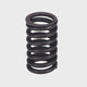 Valve Spring