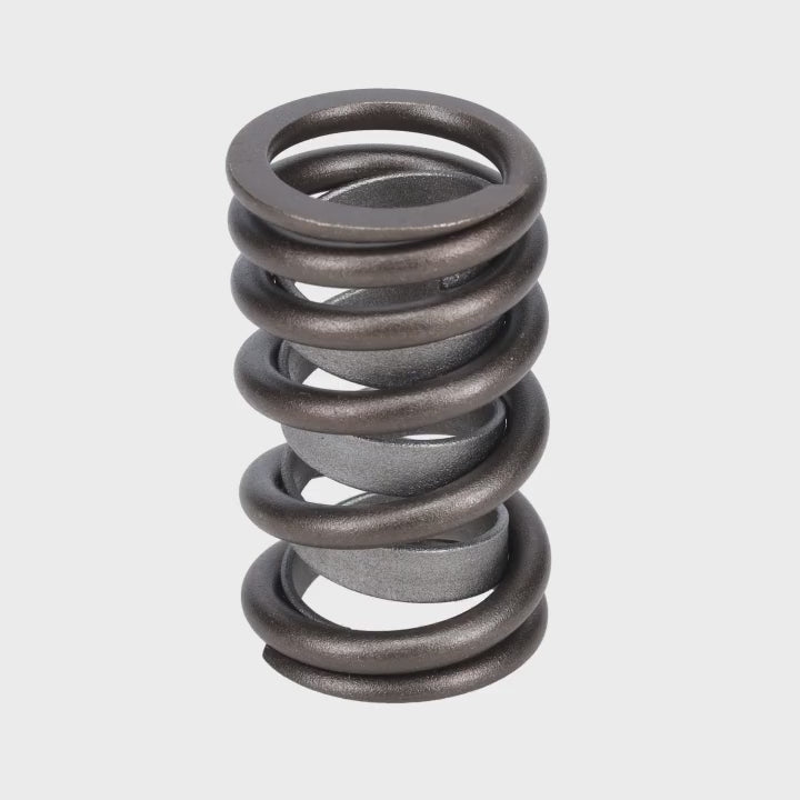 Valve Spring