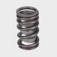 Valve Spring