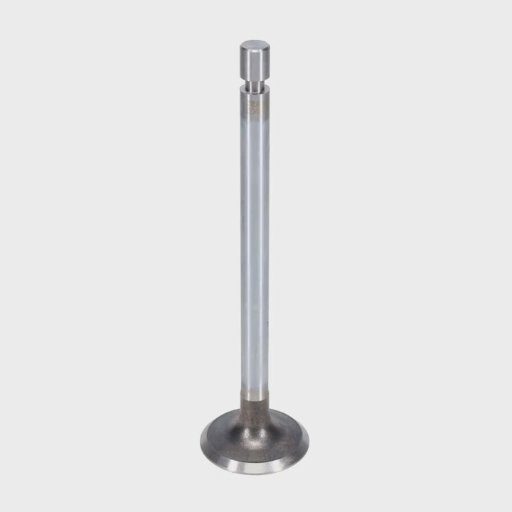 Exhaust Valve