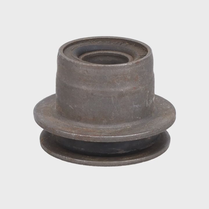 Trailing Arm Bushing