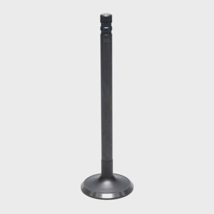 Exhaust Valve