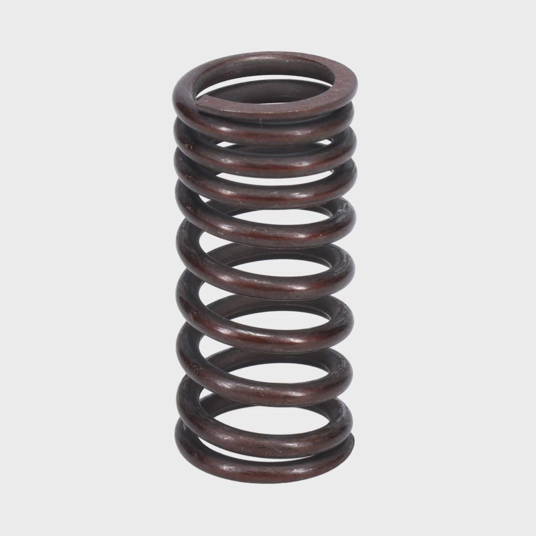 Valve Spring