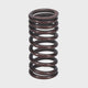 Valve Spring